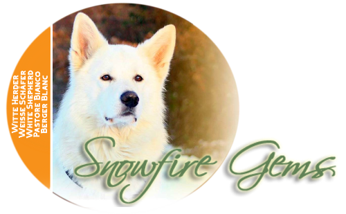 Snowfire Gems Shepherds