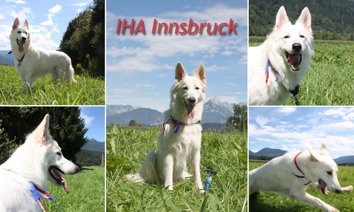 IHA Innsbruck
